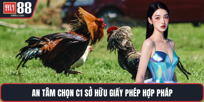 An tâm chọn C1 sở hữu giấy phép hợp pháp