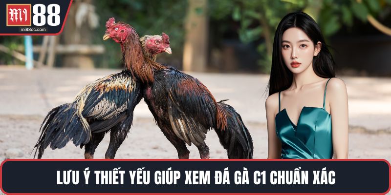 Lưu ý thiết yếu giúp xem đá gà C1 chuẩn xác