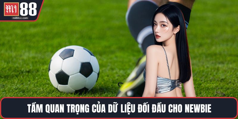 Tầm quan trọng của dữ liệu đối đầu cho newbie