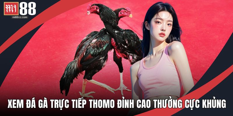 xem đá gà trực tiếp Thomo